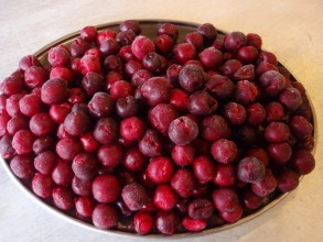 wisnie-sour-cherries